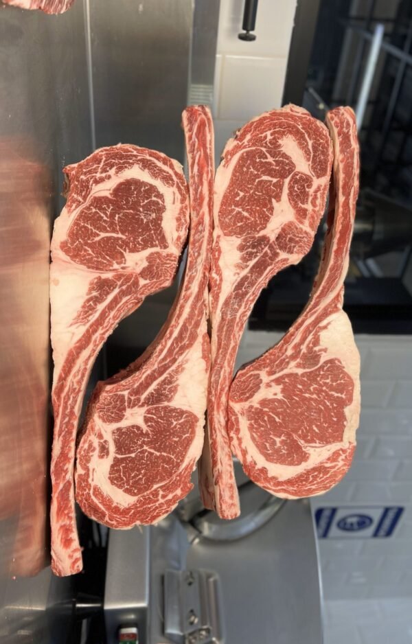Black Angus Tomahawk Jacks Creek 3+